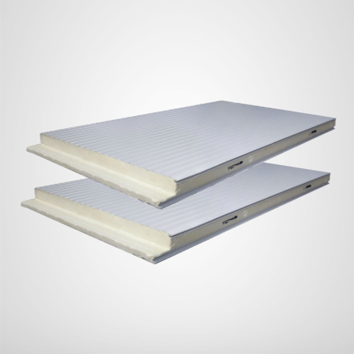 Corrugated Sandwich Panel